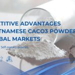 The competitive advantages of Vietnamese CaCO3 powder on the global market 