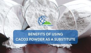 The Benefits of Using CaCO3 Powder as a Substitute: A Customer Success Story Cover