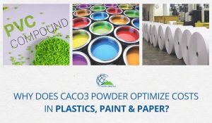 CaCO3 powder helps optimize costs in the plastics, paint, and paper industries cover