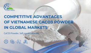 The competitive advantages of Vietnamese CaCO3 powder on the global market cover