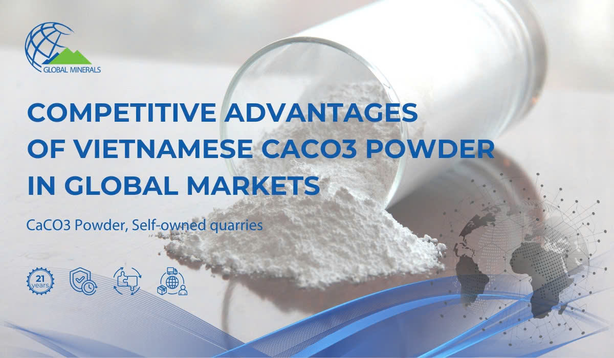 The competitive advantages of Vietnamese CaCO3 powder on the global market cover