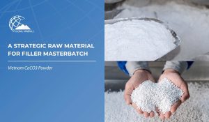 The Complete Handbook of CaCO3 Powder: A Strategic Raw Material for the Filler Masterbatch Industry Cover