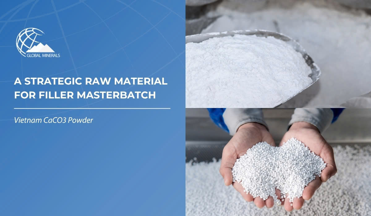 The Complete Handbook of CaCO3 Powder: A Strategic Raw Material for the Filler Masterbatch Industry Cover