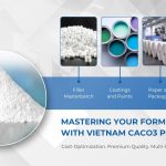 Vietnam calcium carbonate powder