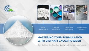 Vietnam calcium carbonate powder