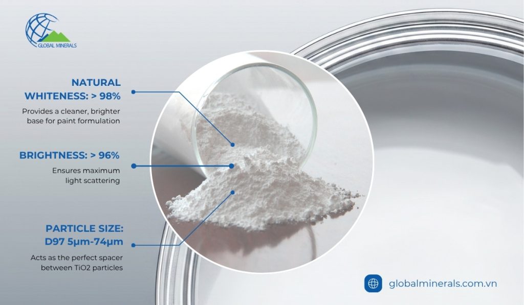 CaCO3 Powder as TiO2 extender for decorative paint formulations